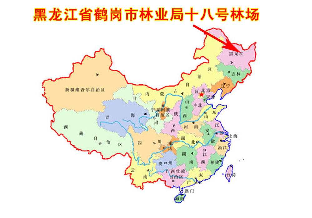 ����λ��